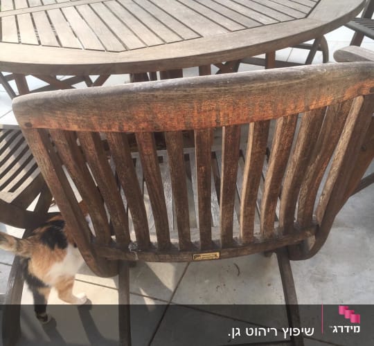 שולחן וכיסאות עץ בגינה עם חתול מתחת לשולחן